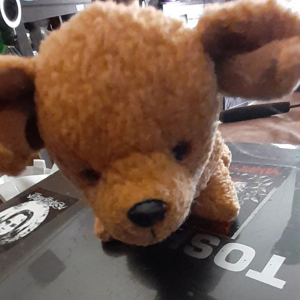 Dog Beanie Baby